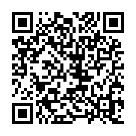 QR code for 925ICO