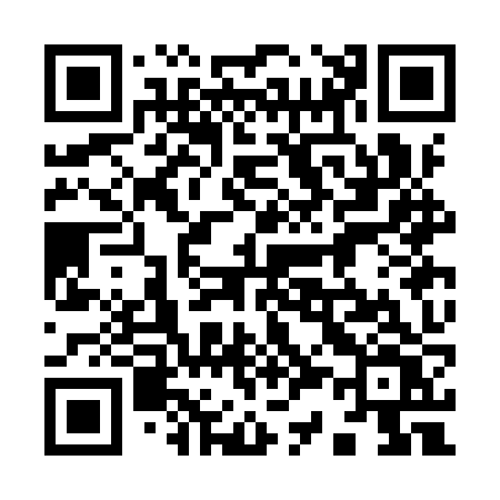 QR code for 933IZV