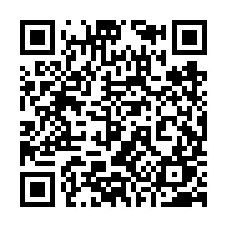 QR code for 938FYT