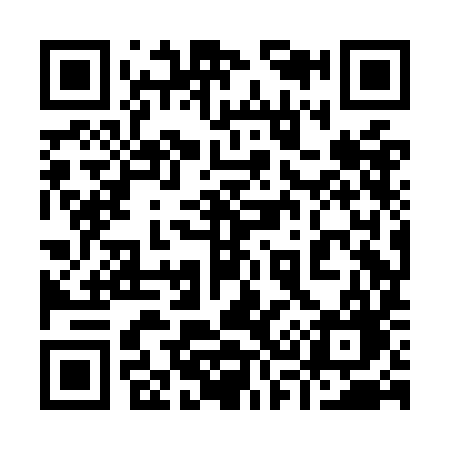 QR code for 938OIG