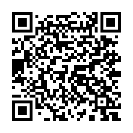 QR code for 938TFG