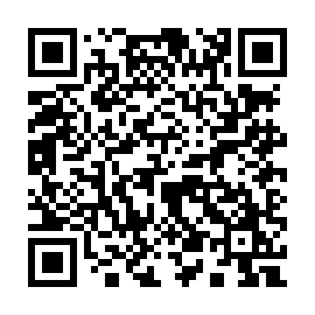 QR code for 950LHO