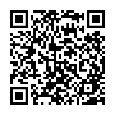 QR code for 951DMG