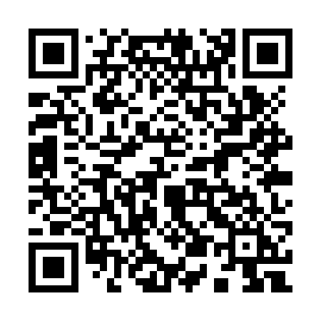 QR code for 951ZZI