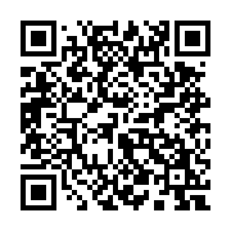 QR code for 953DUO