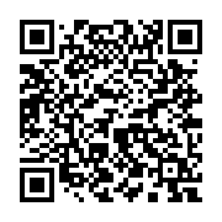 QR code for 953PYT