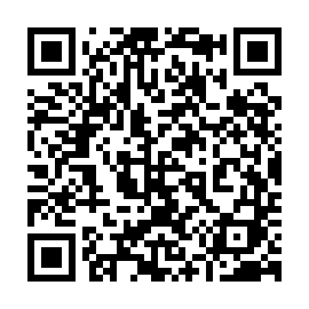 QR code for 953QDI