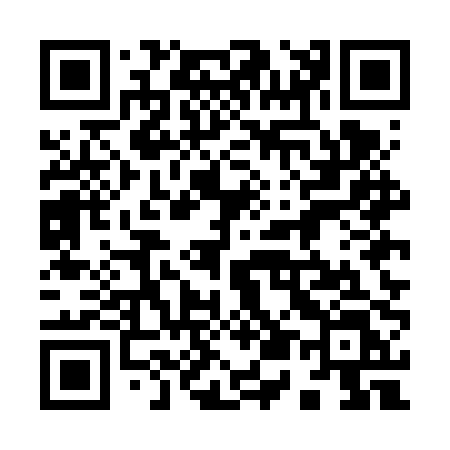 QR code for 955FPL
