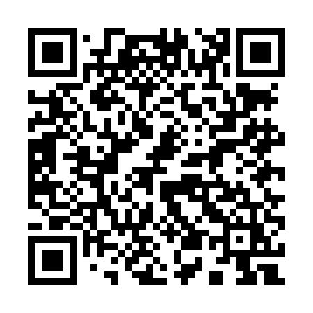 QR code for 955LEZ