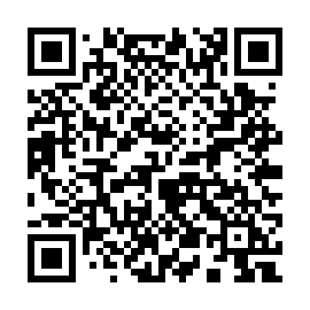 QR code for 955PVI