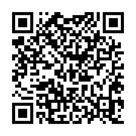 QR code for 955QLK
