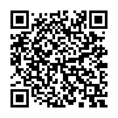 QR code for 990PIP