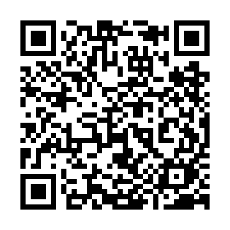 QR code for 991GEM