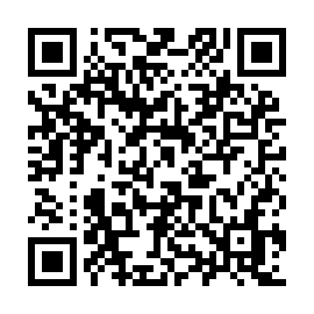 QR code for 991ICN