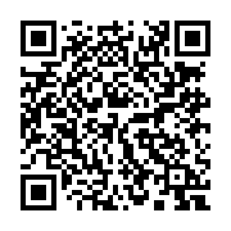 QR code for 991LAA