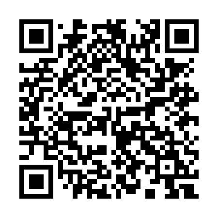 QR code for 991NEM