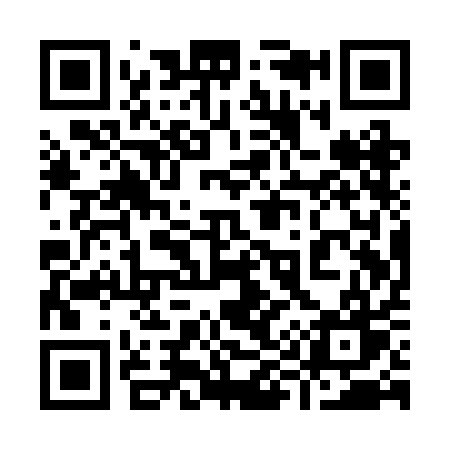 QR code for 991RAW