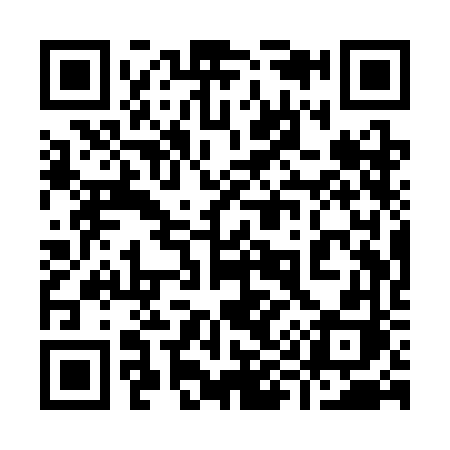 QR code for 991SFH