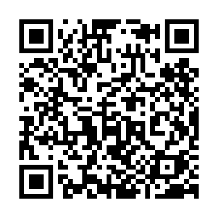 QR code for 991TCI