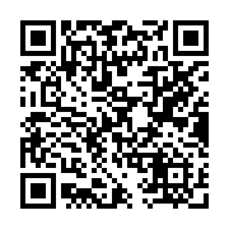 QR code for 991XDI