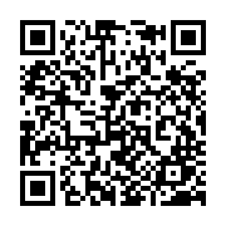 QR code for 993INT