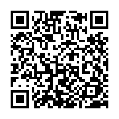 QR code for 993LBJ