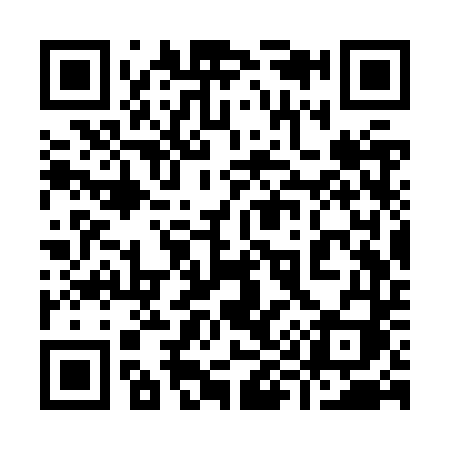 QR code for 993ZTI