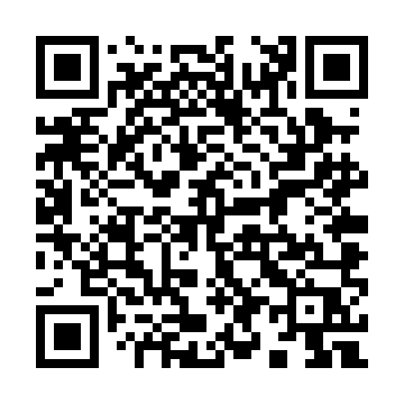QR code for 994PMP