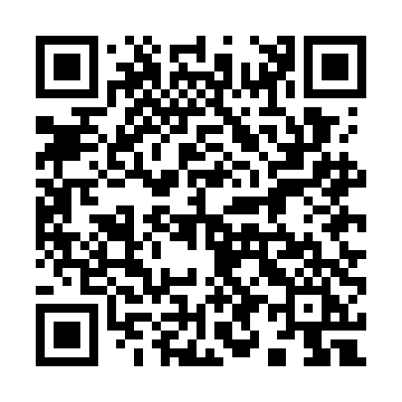 QR code for 995GDI