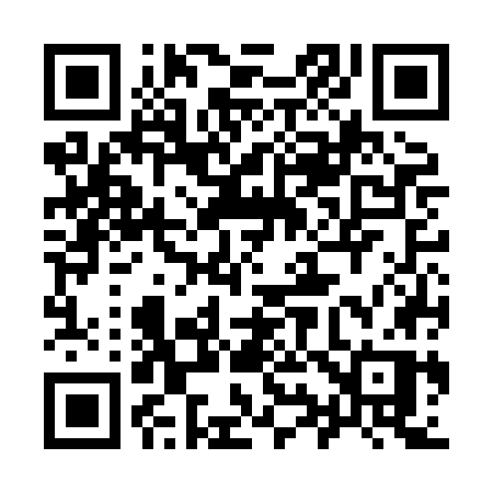 QR code for 996HGP