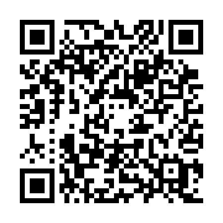 QR code for 996SAE