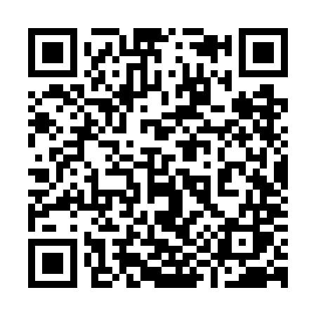 QR code for 996WMS