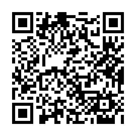 QR code for 999PAV