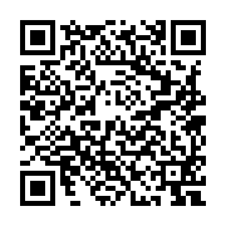 QR code for AAS9920