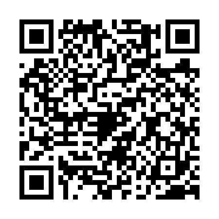 QR code for AAY6731