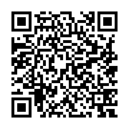 QR code for ACE9790