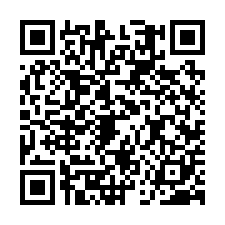 QR code for AEV2013