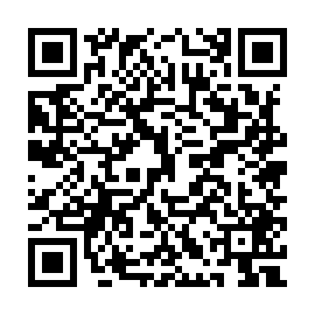 QR code for ALU9493