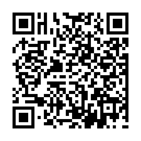 QR code for ALV3881