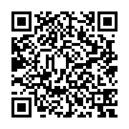 QR code for AMA0381