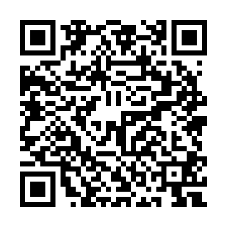 QR code for AOM2009