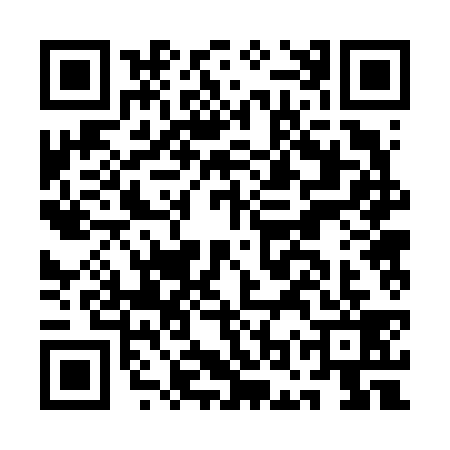 QR code for AOR6393