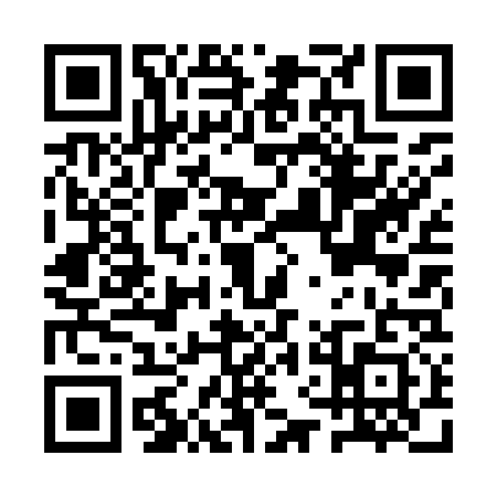 QR code for AVL9311