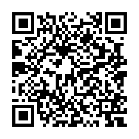 QR code for AYX0010