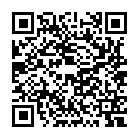 QR code for AYZ9617