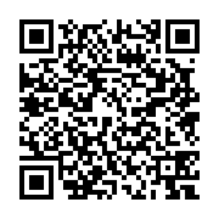 QR code for BAP0386