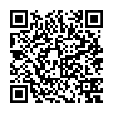 QR code for BBZ7383