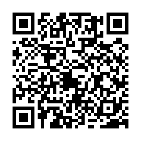QR code for BFF5313