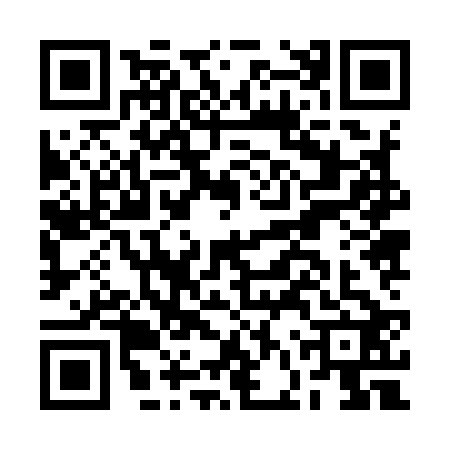 QR code for BFZ9228
