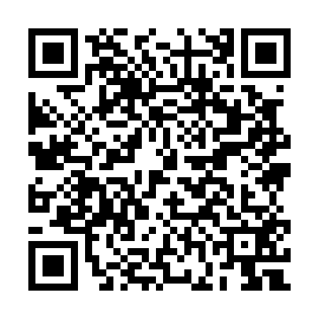 QR code for BGI0529
